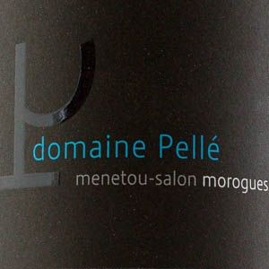Menetou Salon Morogues Domaine Pellé 2022 Blanc