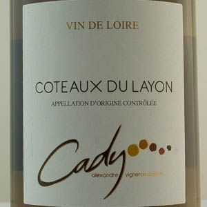 Cteaux du Layon Domaine Cady Moelleux 2022 