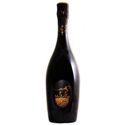 Champagne De Sousa Cuvée Mycorhize