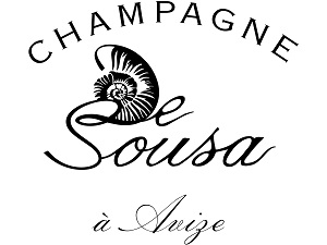 Plonge dans l'Univers du Champagne De Sousa