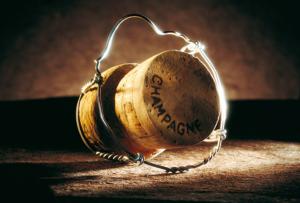 Tout sur les Terroirs du Champagne : Carte, Cpages et Conseils de Dgustation